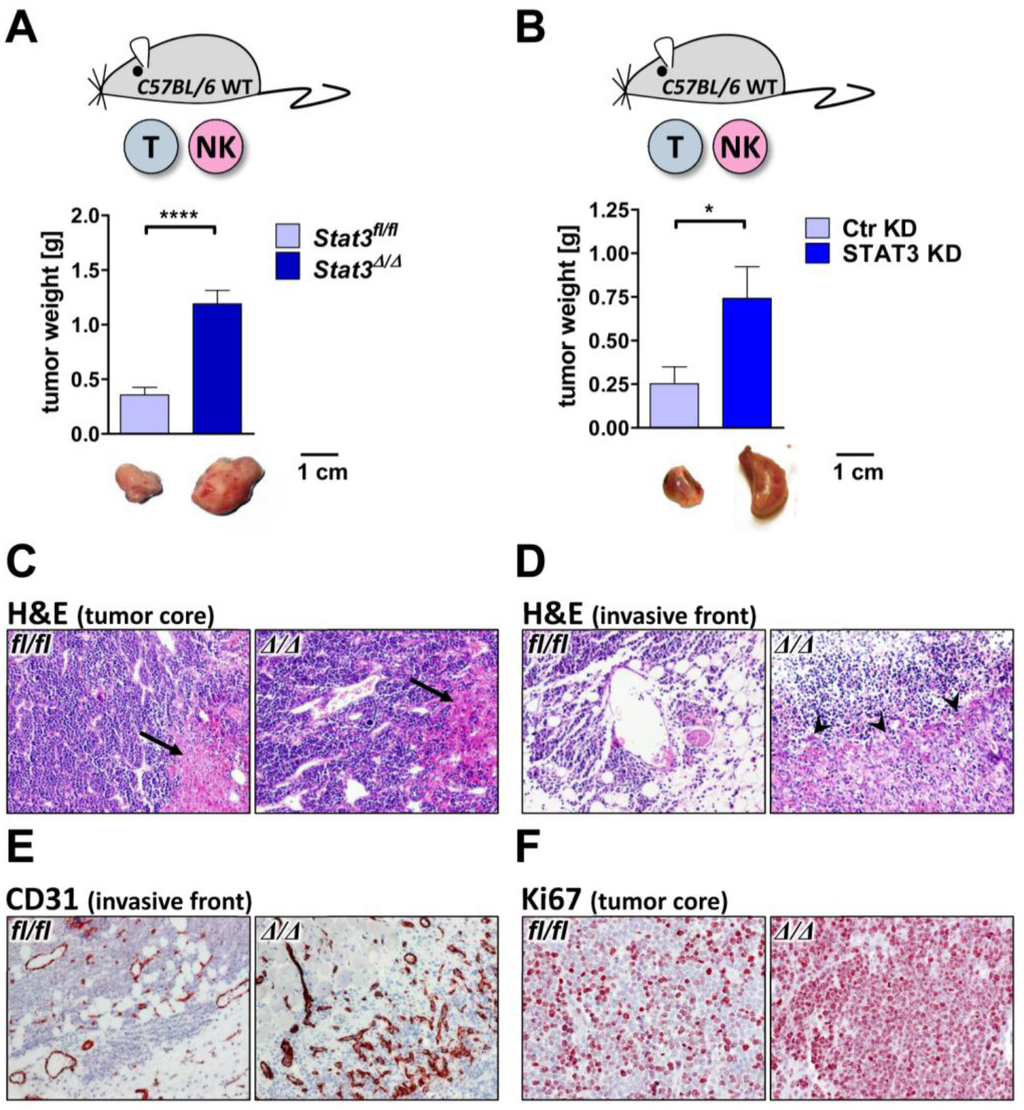 Cancers 06 00193 g003 1024