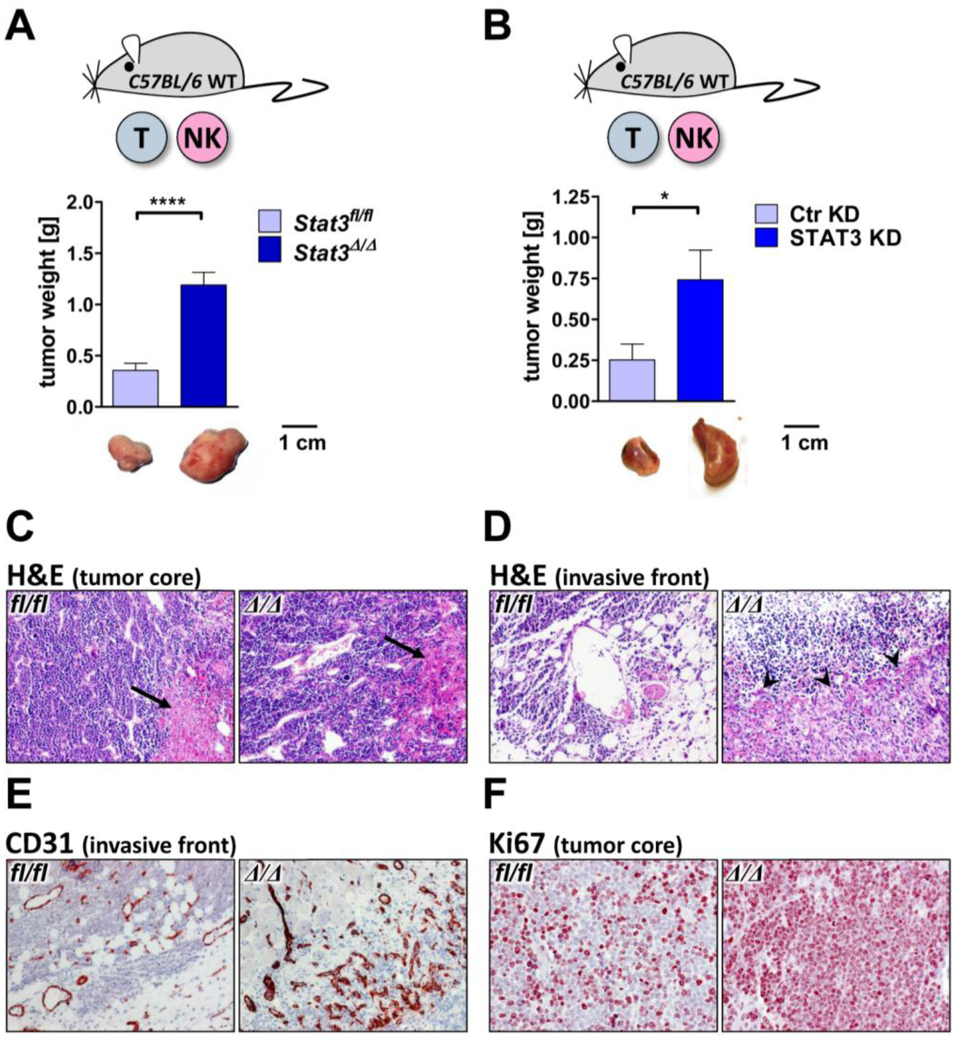 Cancers 06 00193 g003