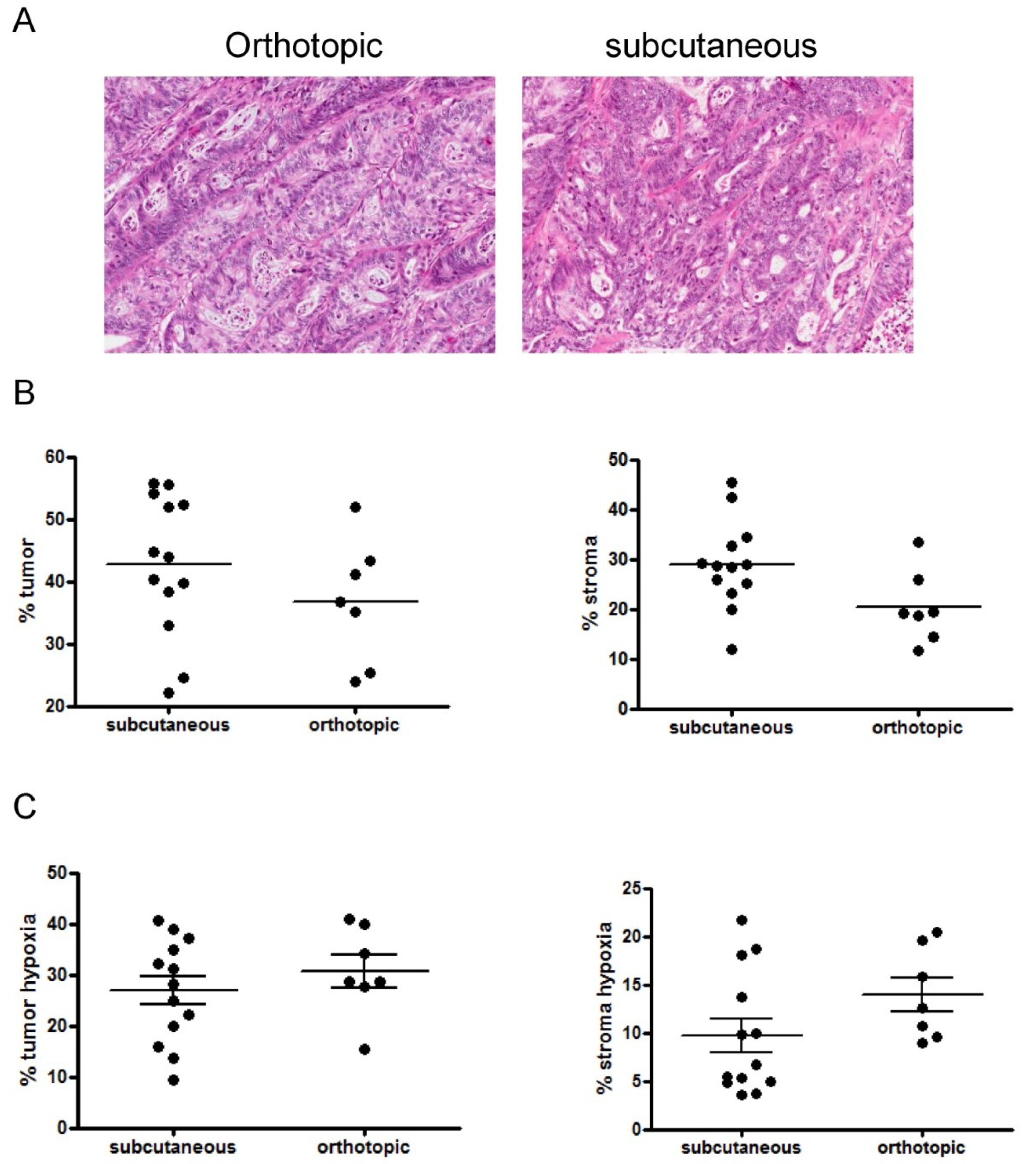 Cancers 06 00459 g004