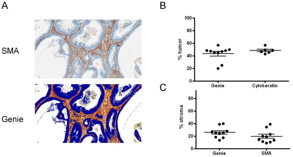 Cancers 06 00459 g005 1024