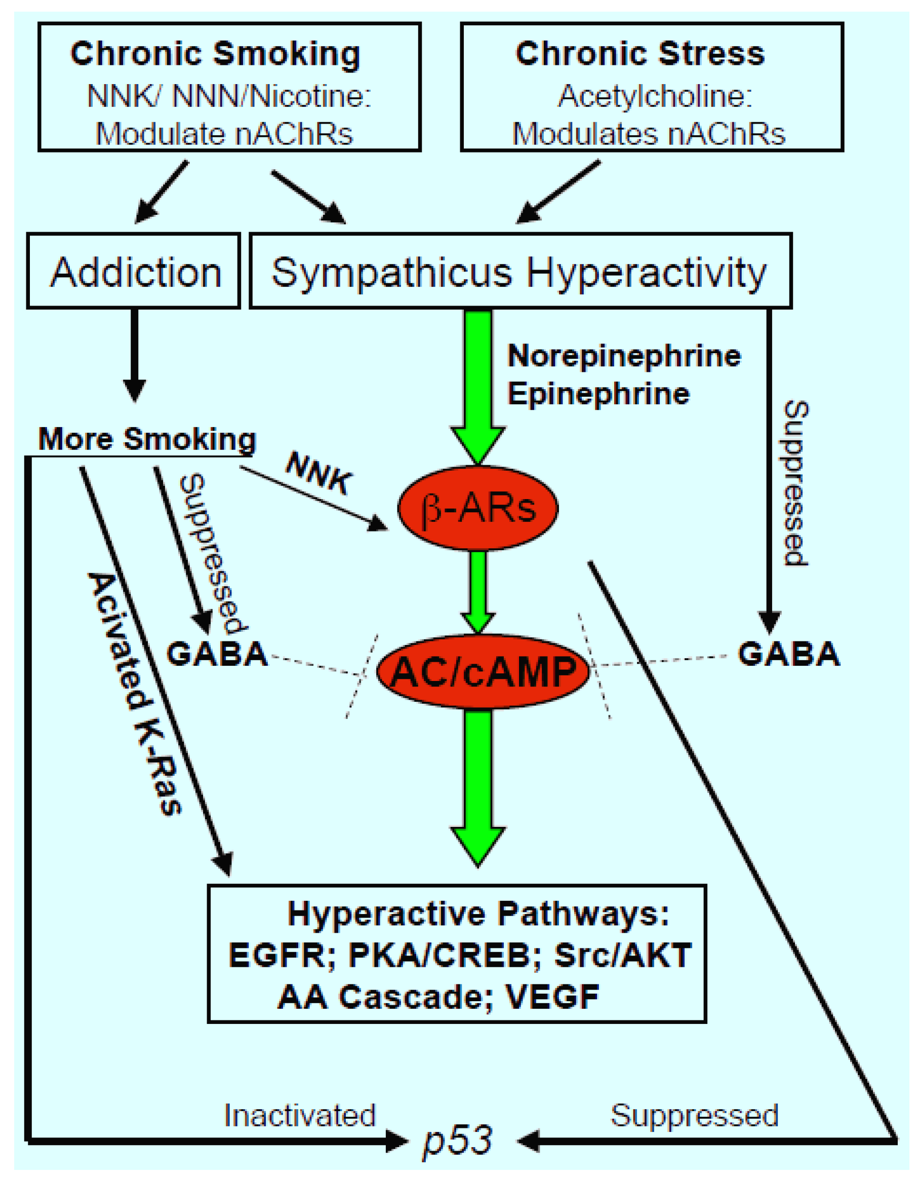 Cancers 06 00580 g001