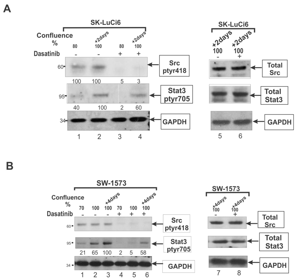 Cancers 06 00646 g001 1024