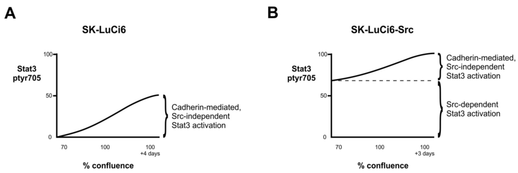 Cancers 06 00646 g003 1024