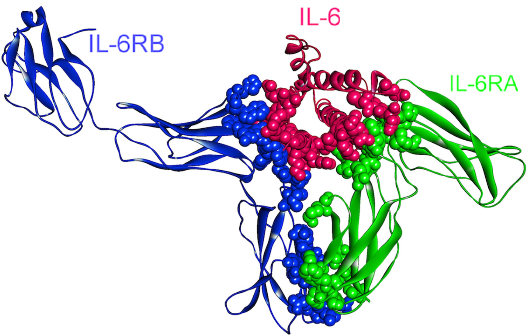 Cancers 06 00663 g008