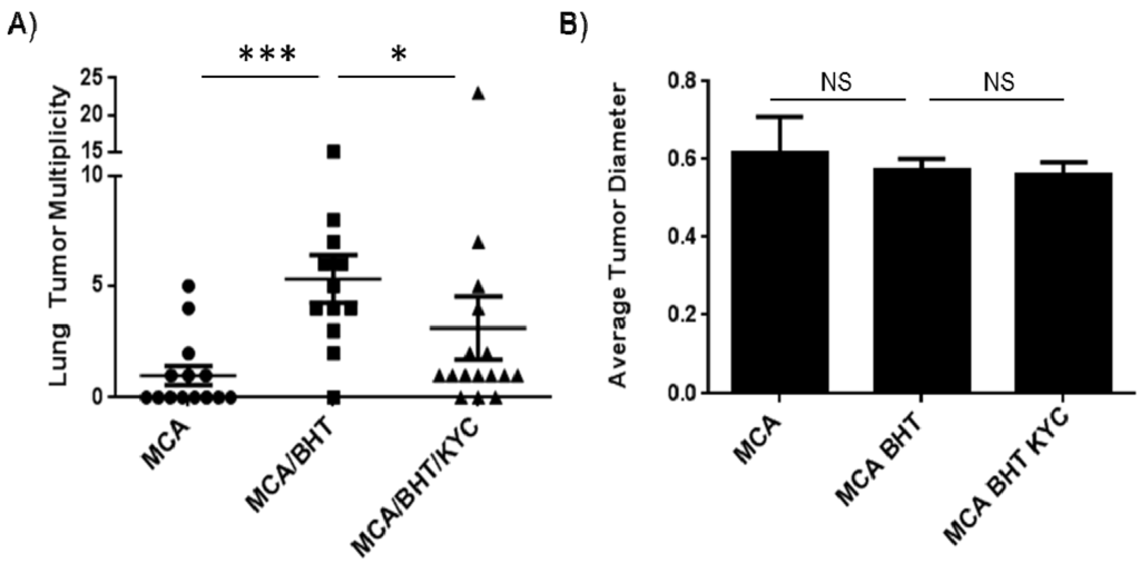 Cancers 06 01111 g003 1024