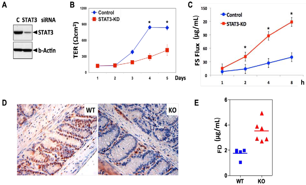 Cancers 06 01394 g002 1024