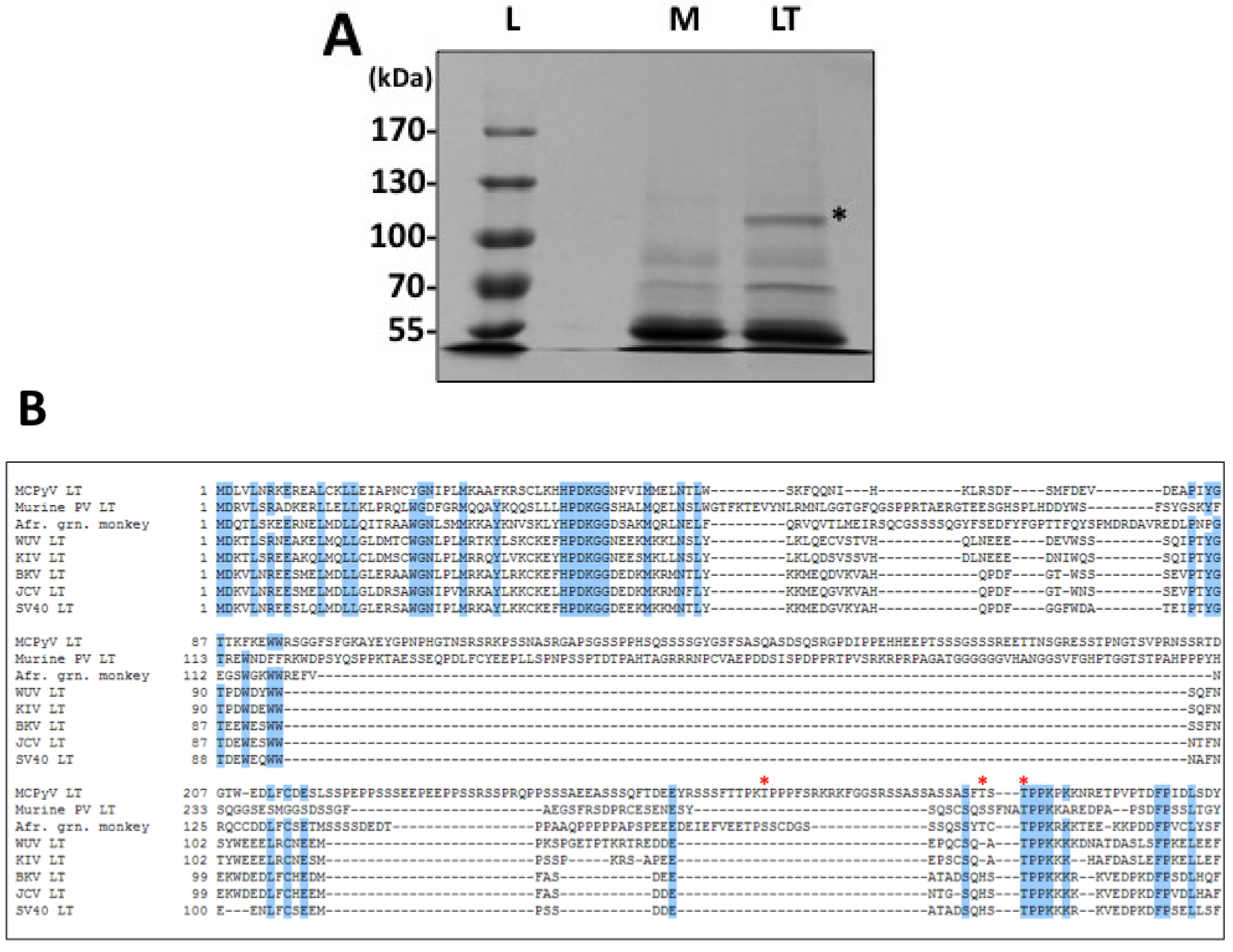 Cancers 06 01464 g001