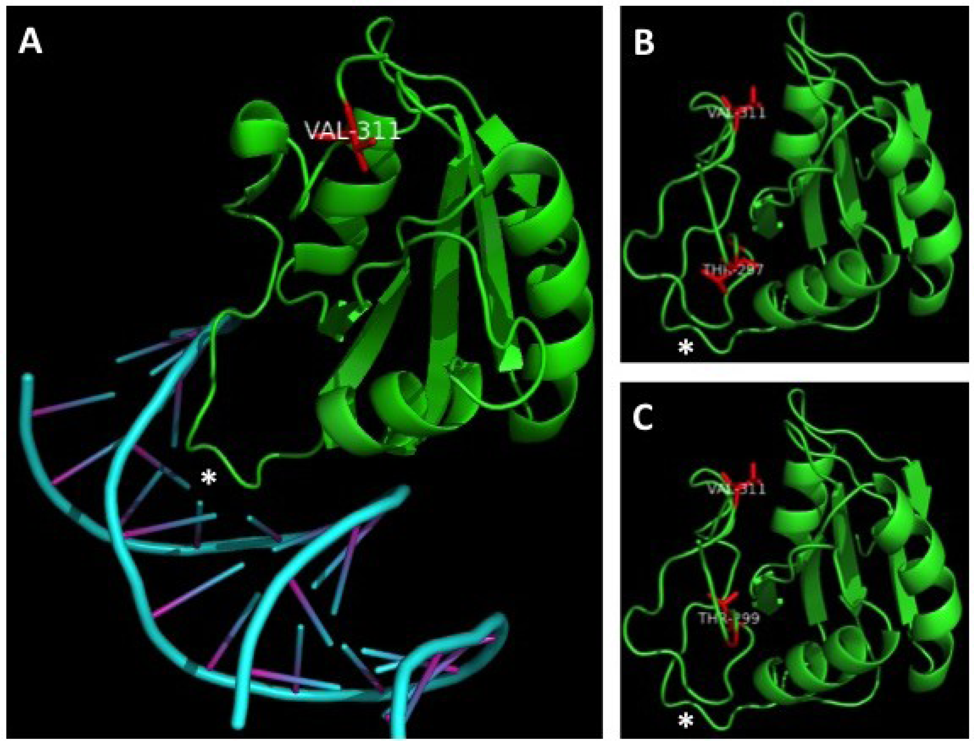 Cancers 06 01464 g002