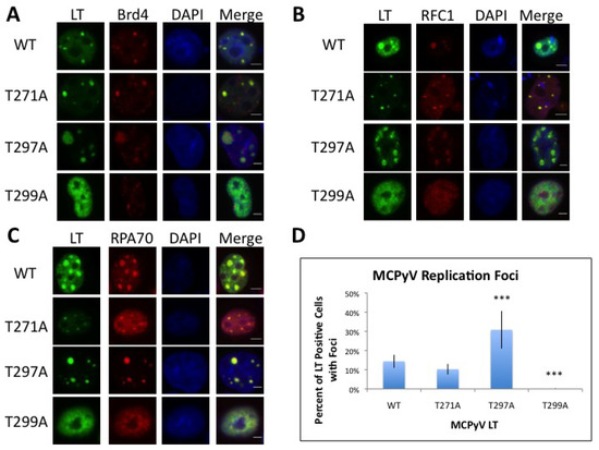 Cancers 06 01464 g003 550