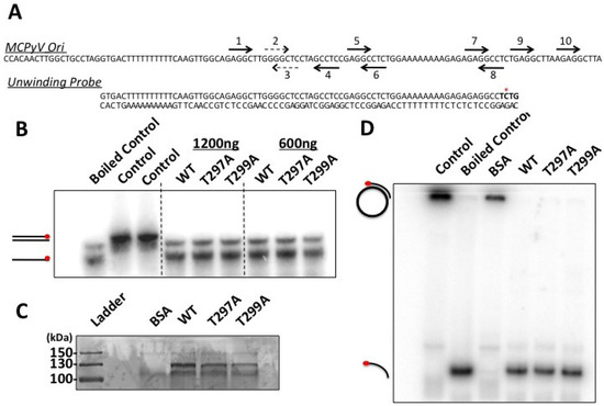 Cancers 06 01464 g006 550