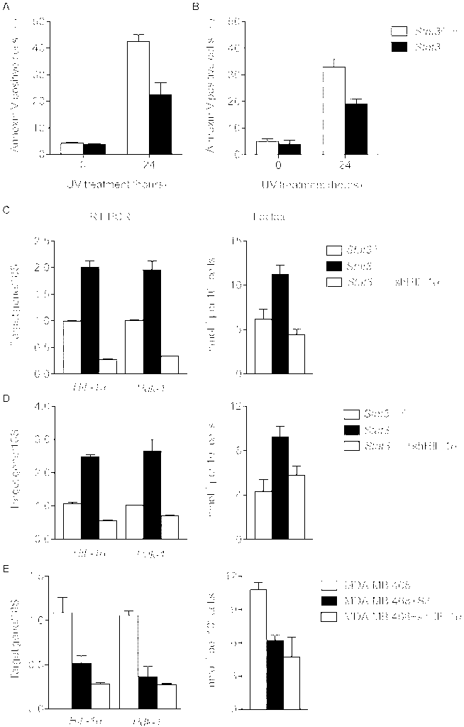 Cancers 06 01579 g001 1024