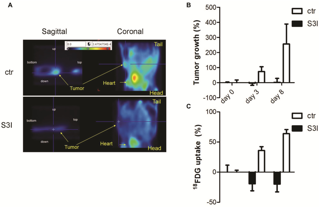 Cancers 06 01579 g002 1024