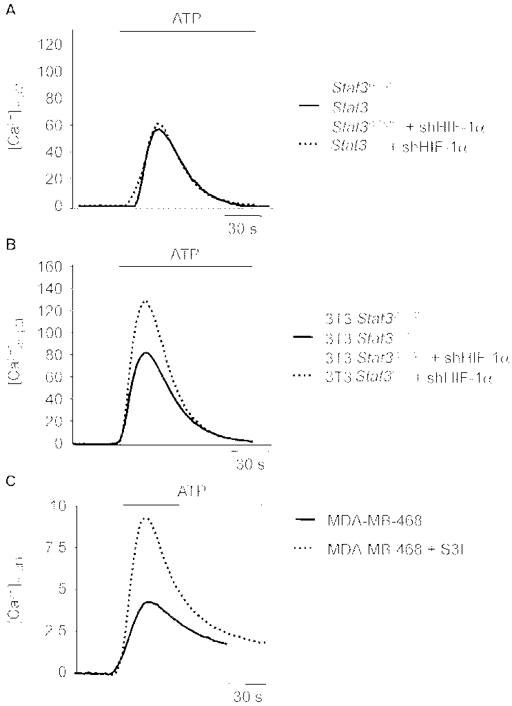 Cancers 06 01579 g003 1024