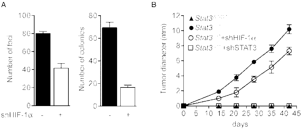 Cancers 06 01579 g005 1024