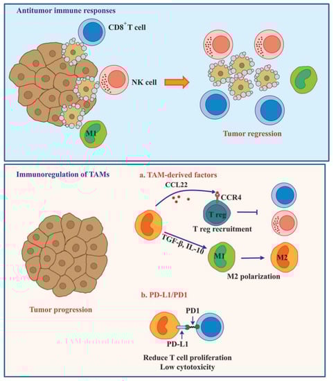 Cancers 06 01670 g004 550