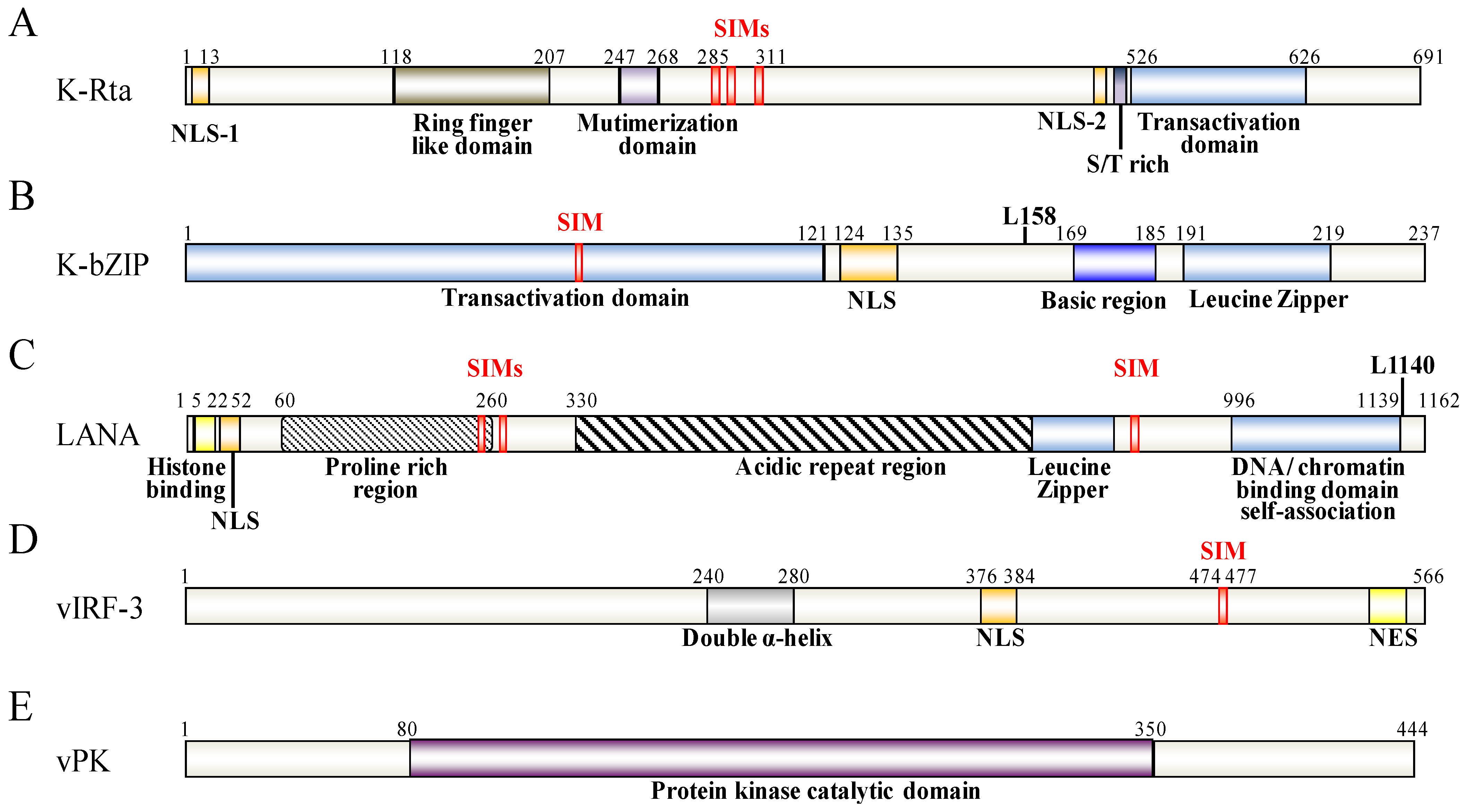 Cancers 06 01905 g002