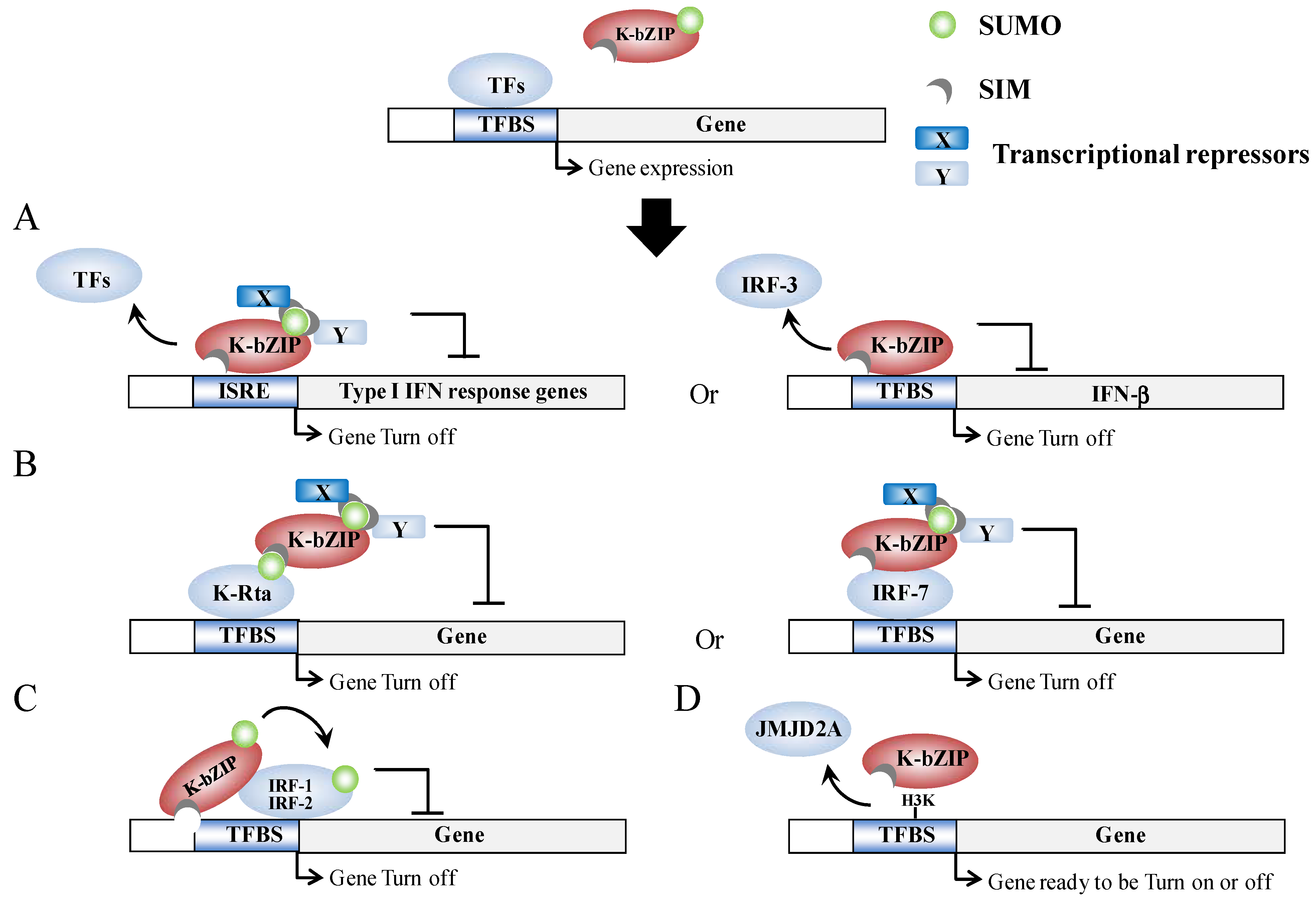 Cancers 06 01905 g003