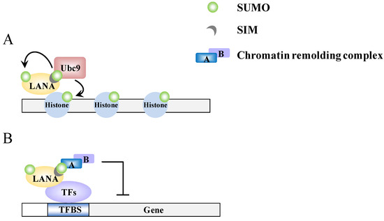 Cancers 06 01905 g004 550
