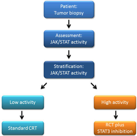 Cancers 06 01986 g002 550