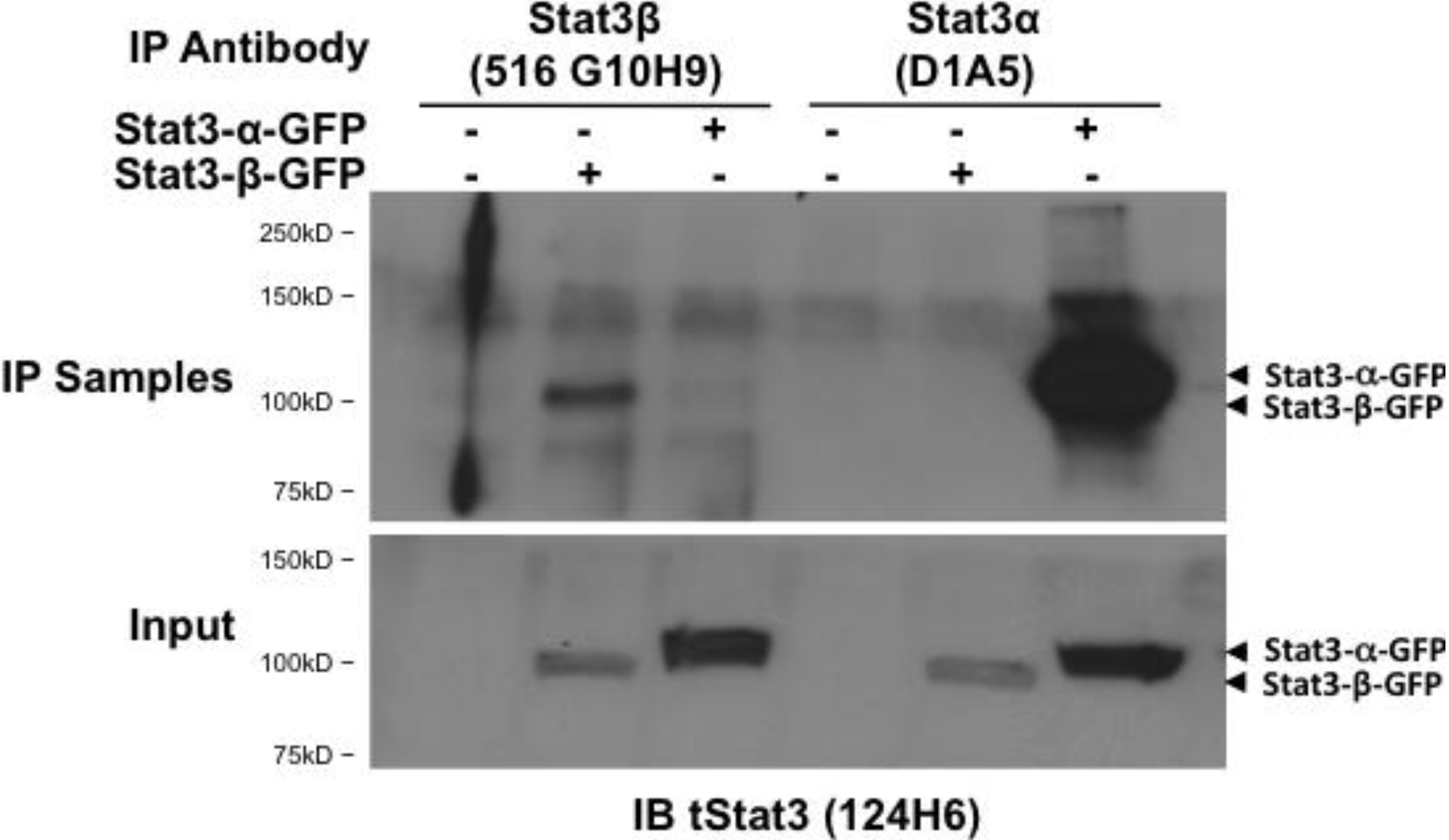 Cancers 06 02012 g005