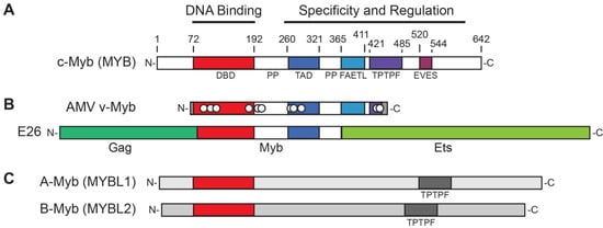 Cancers 06 02049 g001 550
