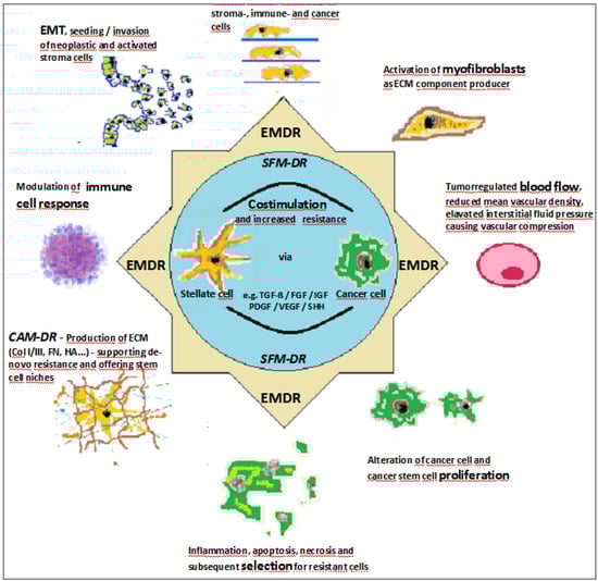 Cancers 06 02137 g001 550