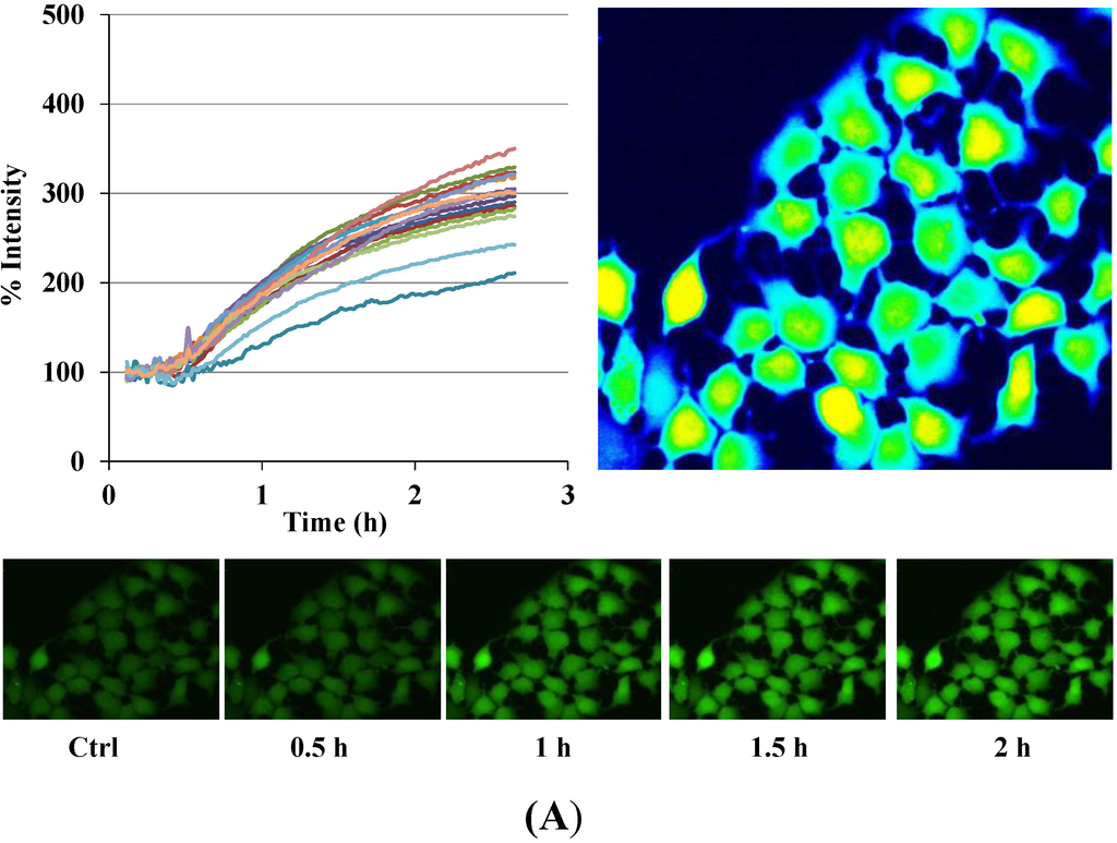 Cancers 06 02243 g003a 1024