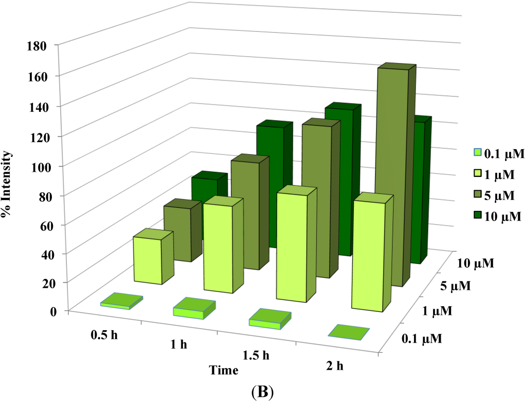 Cancers 06 02243 g003b 1024