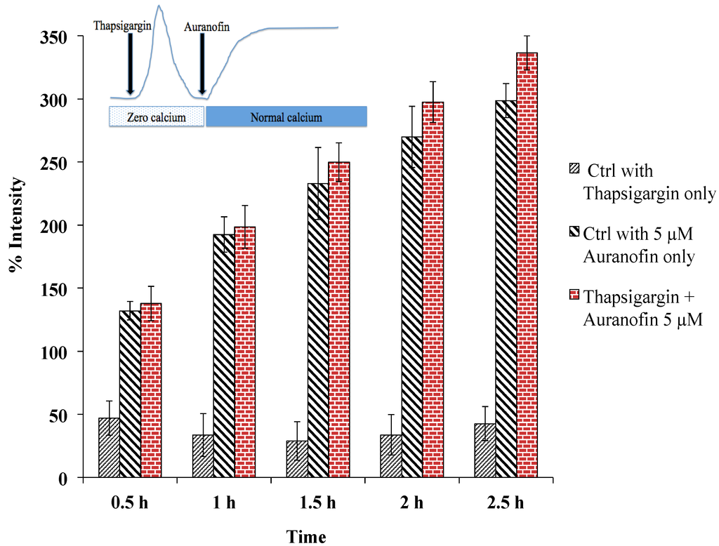 Cancers 06 02243 g006 1024