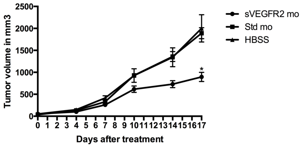 Cancers 06 02330 g004 1024