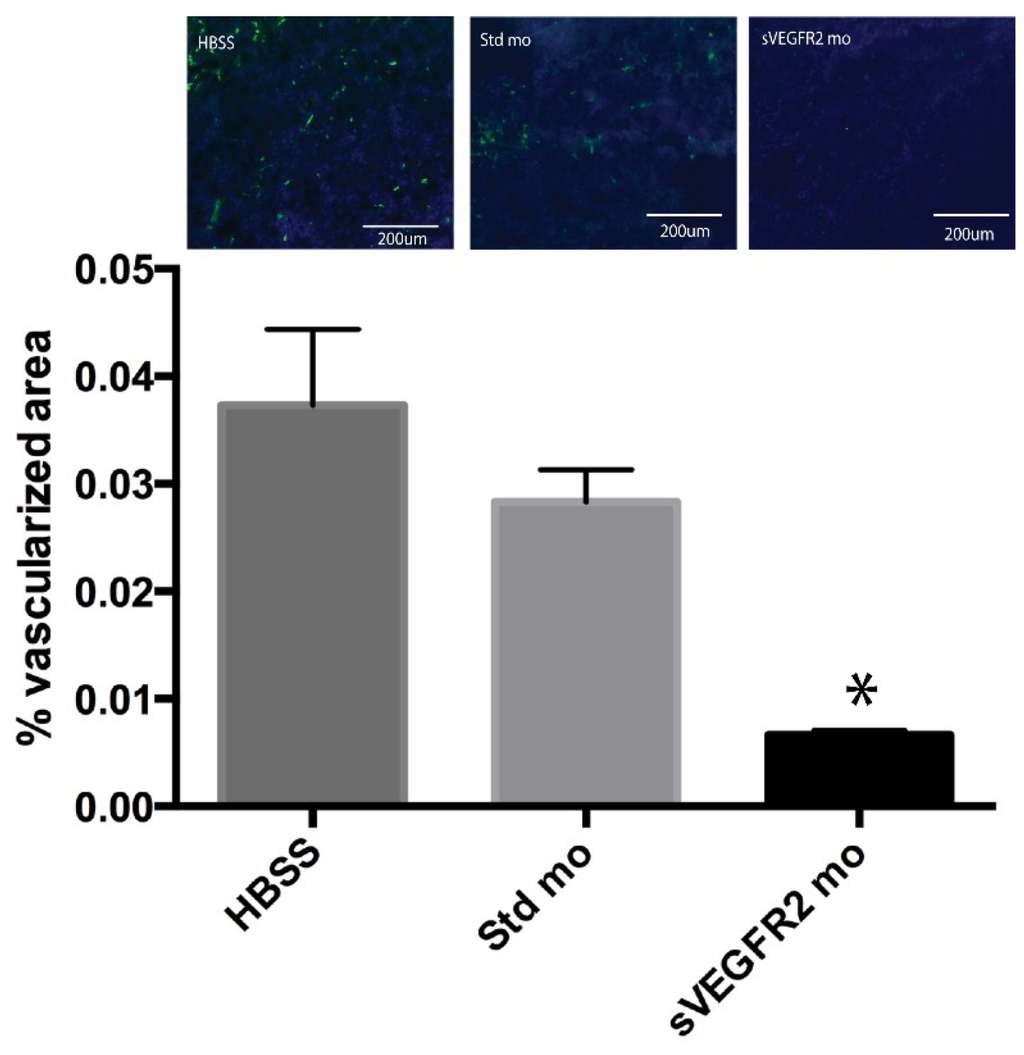 Cancers 06 02330 g005 1024