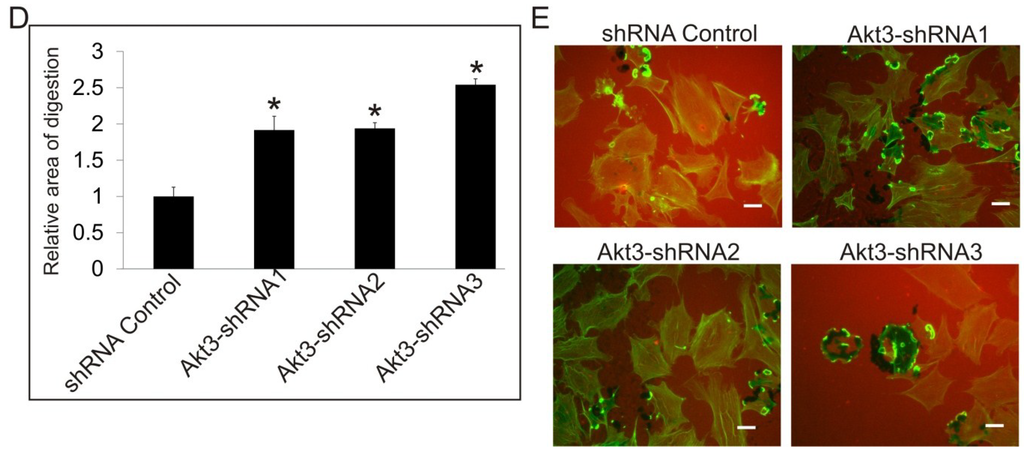 Cancers 07 00096 g004b 1024