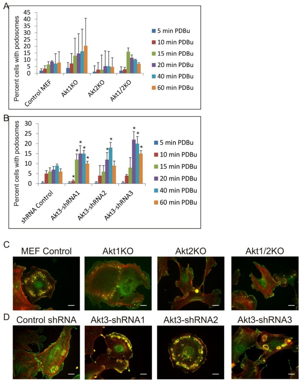 Cancers 07 00096 g005 1024