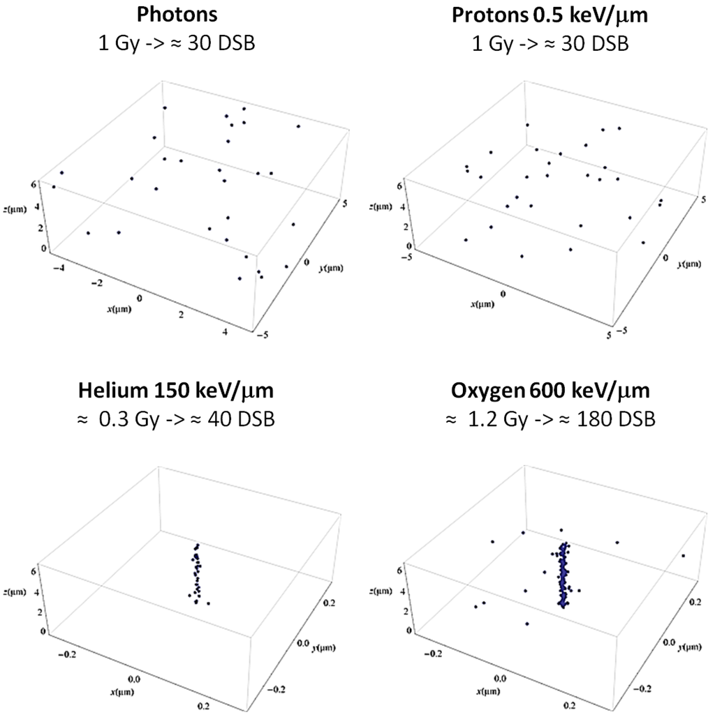 Cancers 07 00353 g001 1024