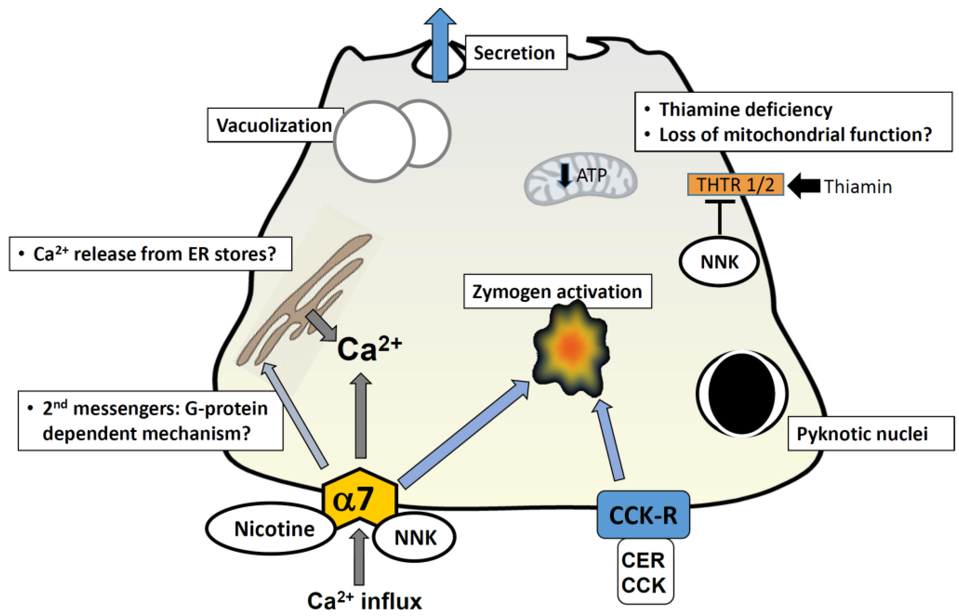Cancers 07 00723 g001