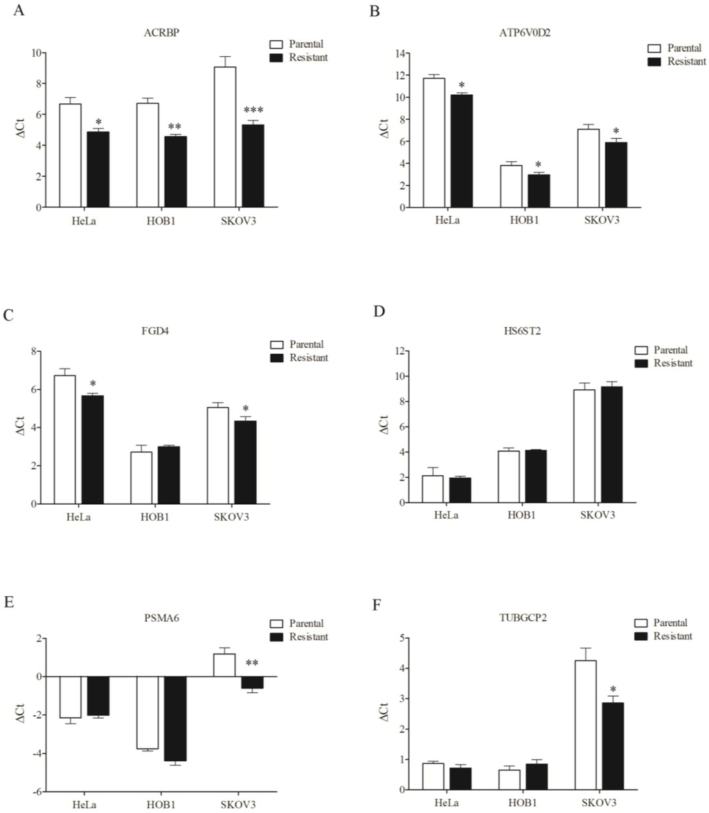 Cancers 07 00824 g008 1024