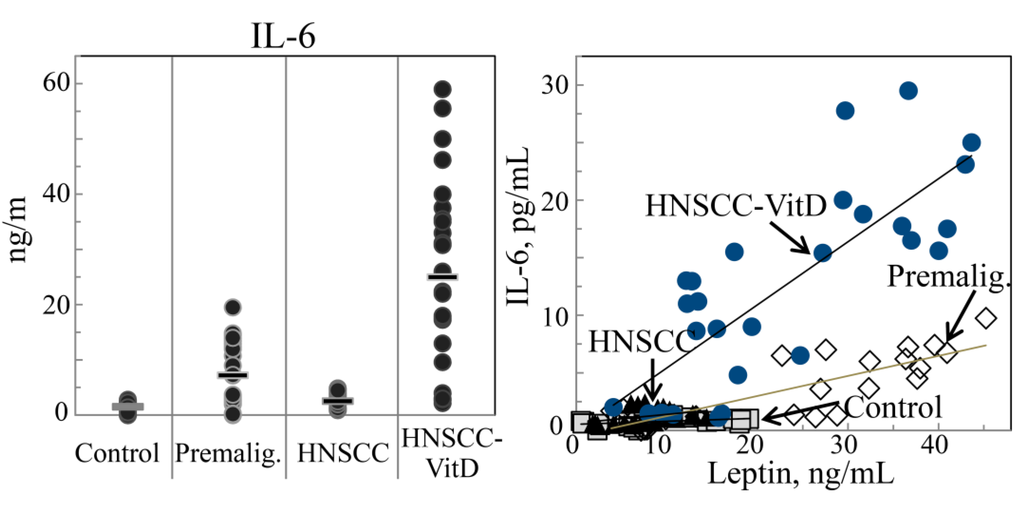 Cancers 07 00827 g004 1024