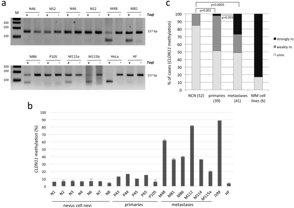 Cancers 07 00834 g003 1024