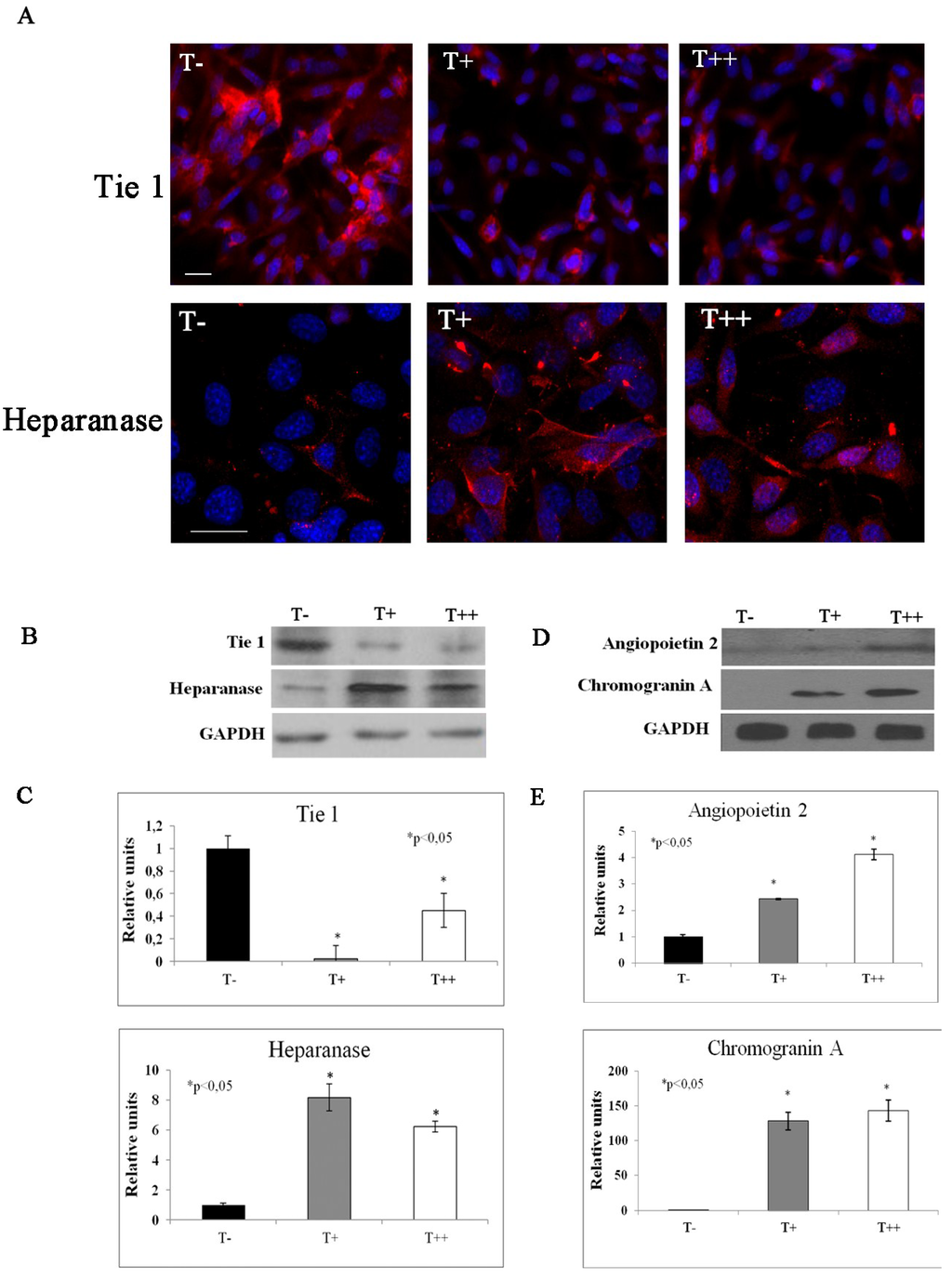 Cancers 07 00840 g007 1024