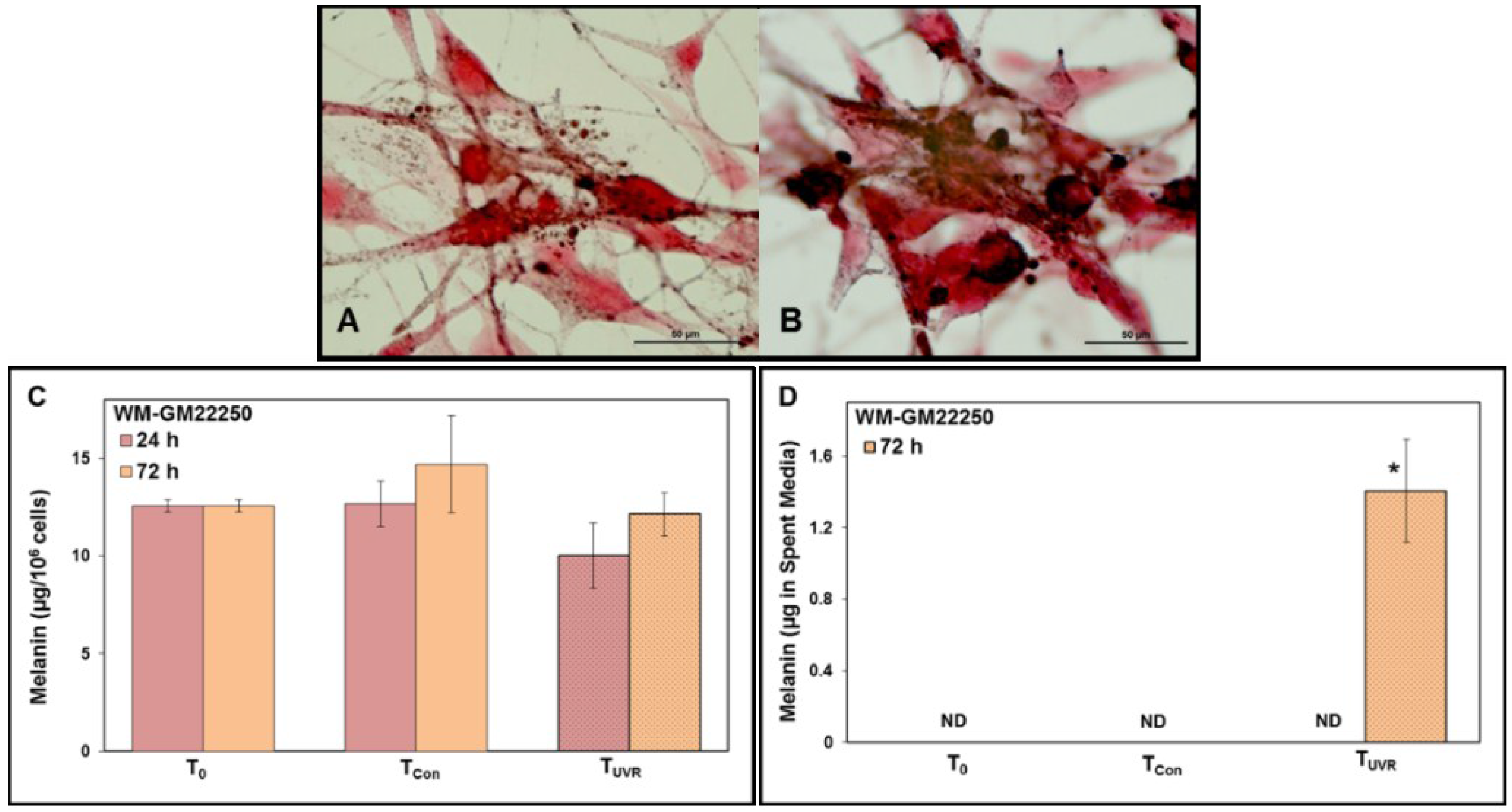 Cancers 07 00852 g005a