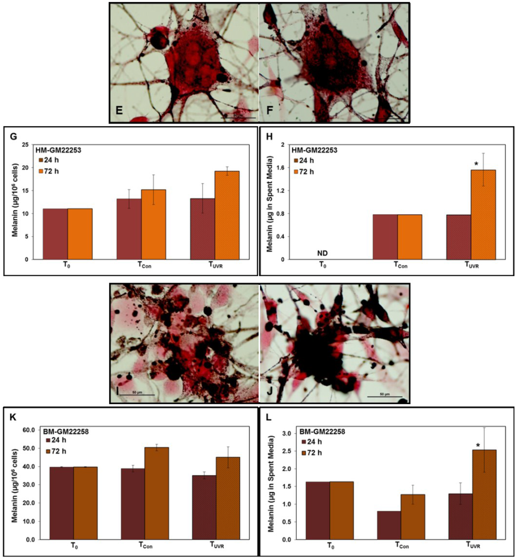 Cancers 07 00852 g005b 1024