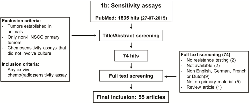 Cancers 07 00858 g001b 1024