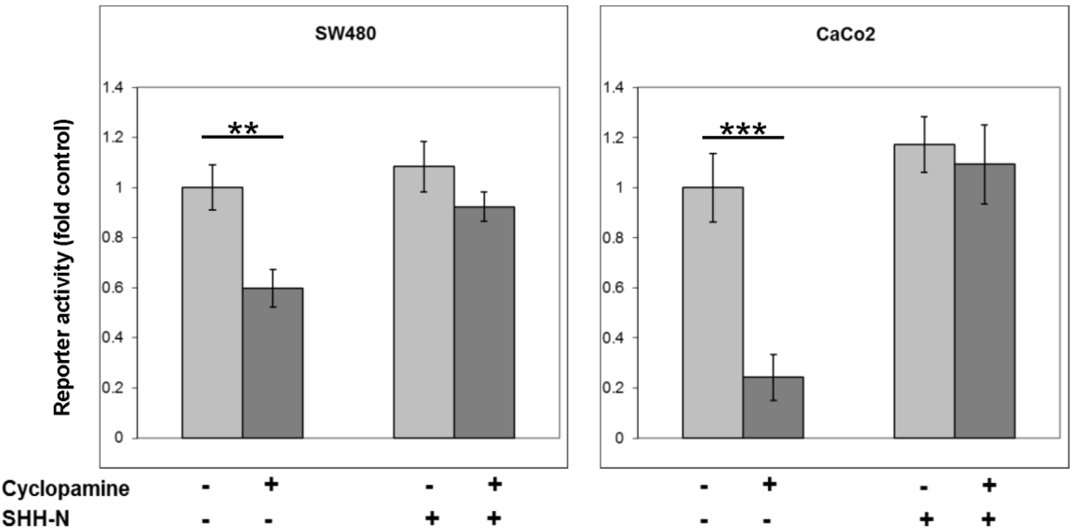 Cancers 07 00867 g002