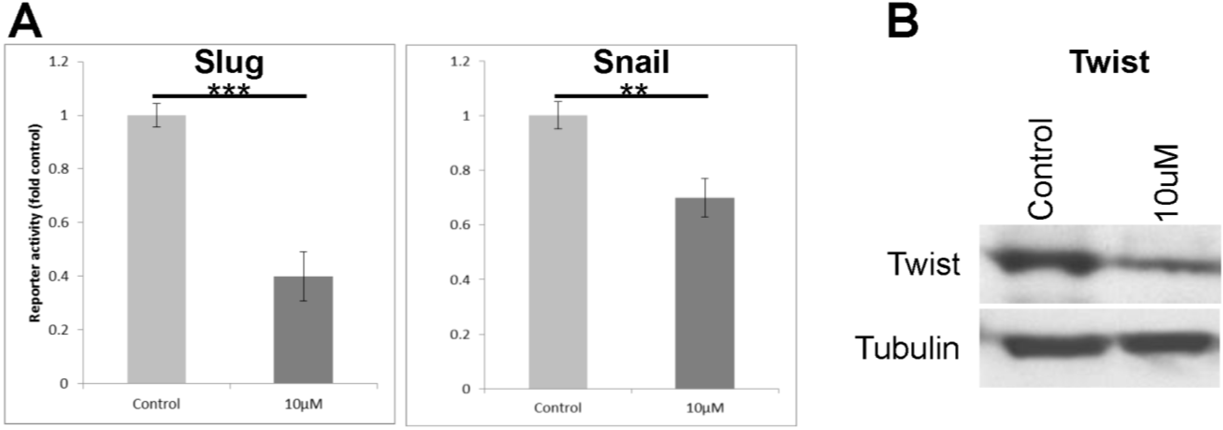Cancers 07 00867 g005