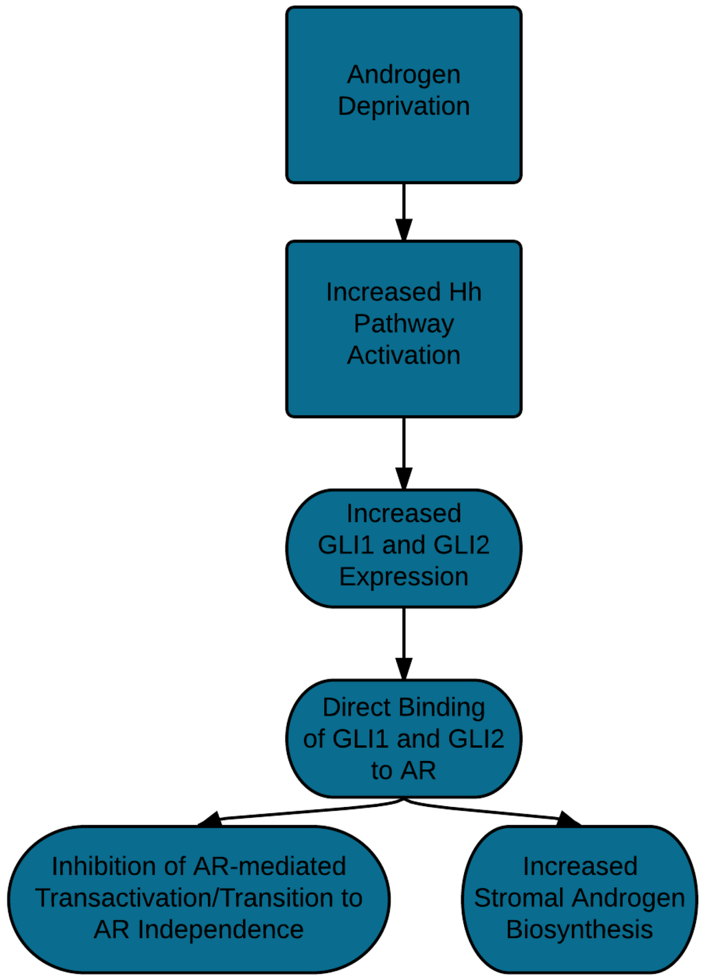 Cancers 07 00871 g001 1024