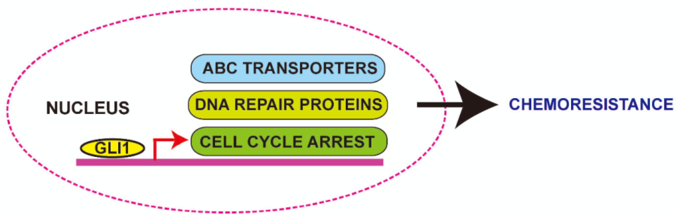 Cancers 07 00894 g004