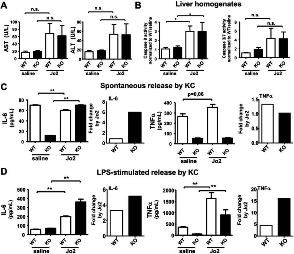 Cancers 07 00901 g003 1024