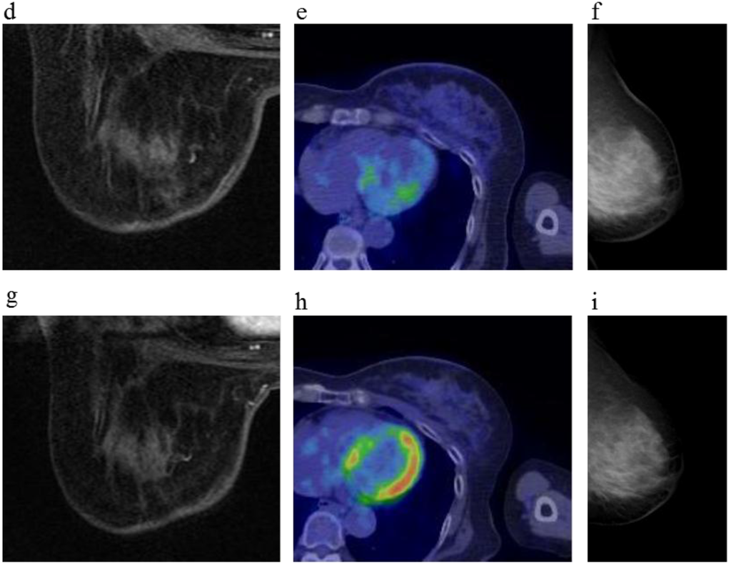 Cancers 08 00001 g002b 1024