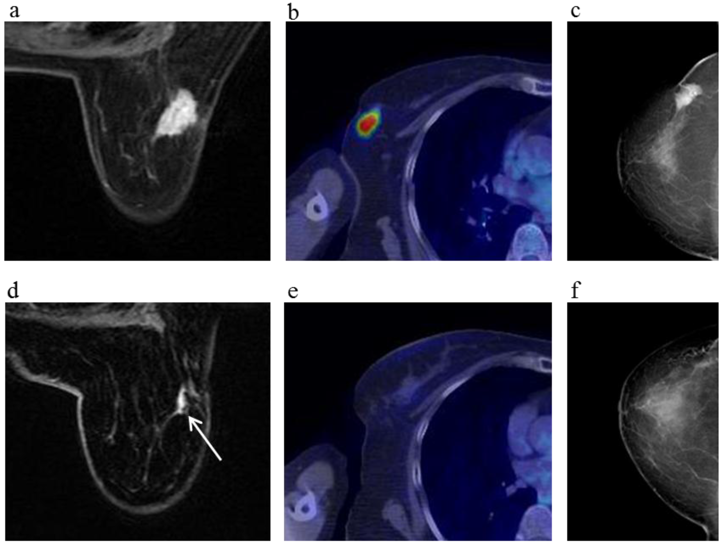 Cancers 08 00001 g003a