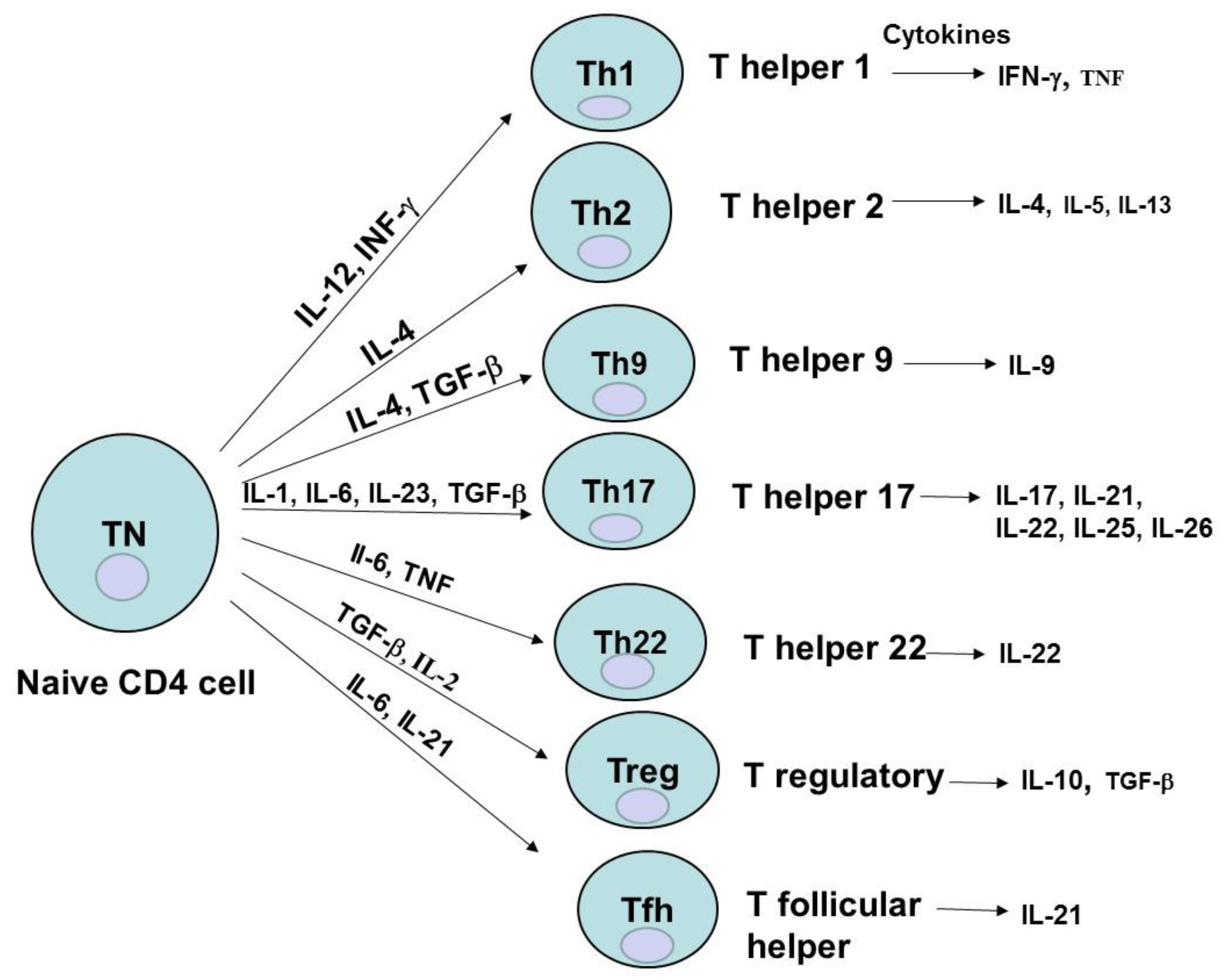 Cancers 08 00036 g002